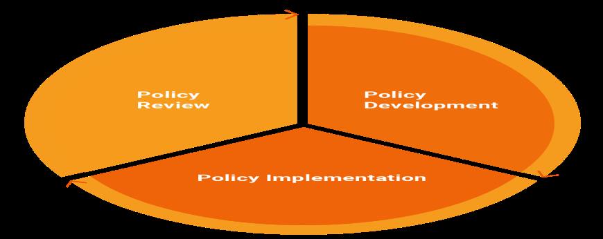 How do you ensure that government programs and initiatives are implemented efficiently and effectively?