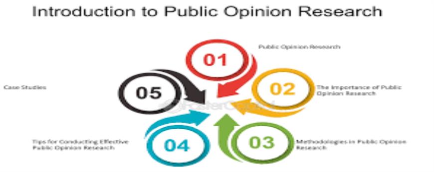 Describe your experience in conducting public opinion research and analysis for government decision-making.