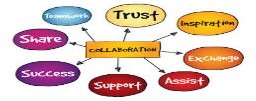 How do you foster collaboration and teamwork within a government organization?