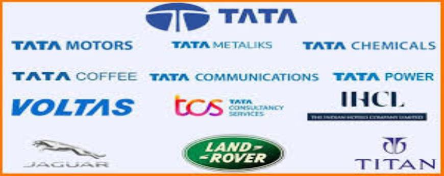 What do you think are the key factors for success in the industry where Tata Group operates?