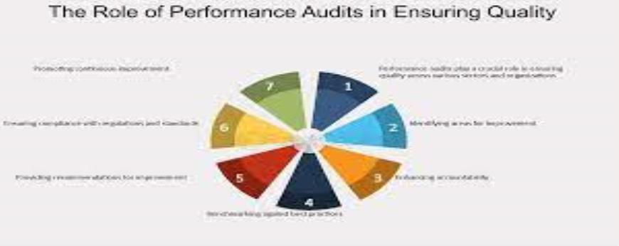 Describe your experience in conducting audits or evaluations of government programs.